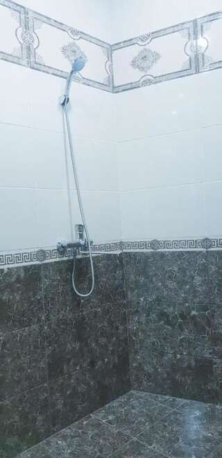 Виллы Qabala Silver Villa Габала Вилла-29